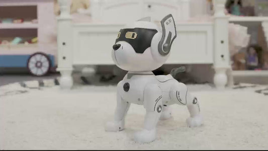 RC Smart Robot Dog – Expressive Eyes, Voice & Guard Mode
